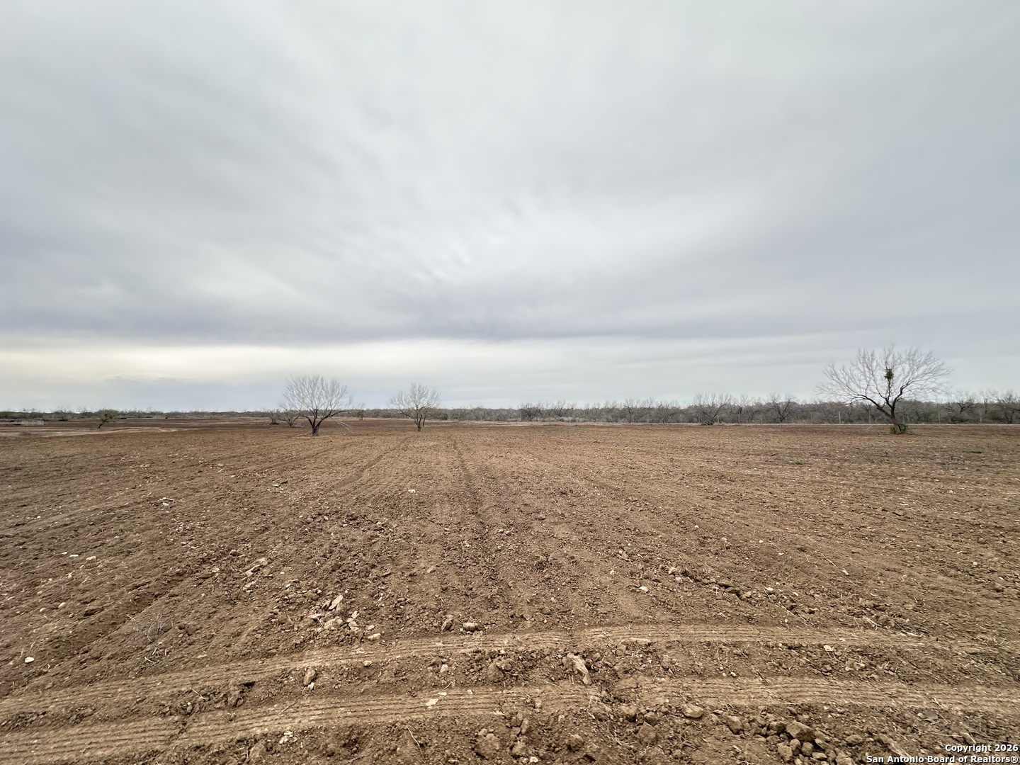 001 County Road 354 Charlotte TX 78011