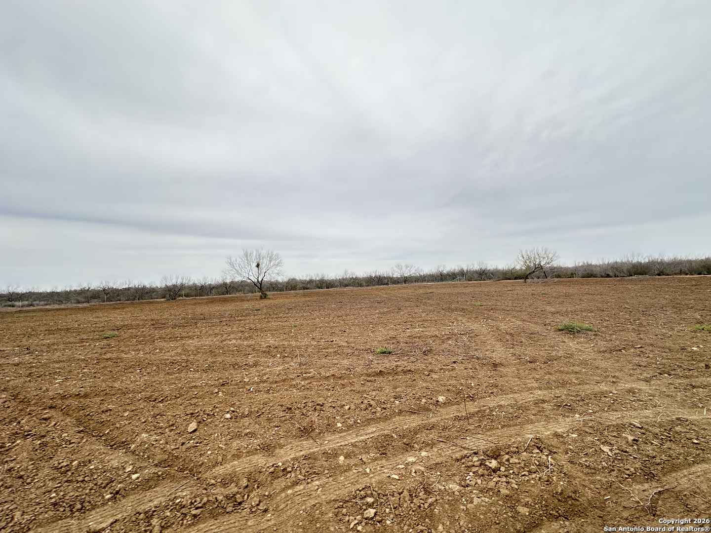 001 County Road 354 Charlotte TX 78011
