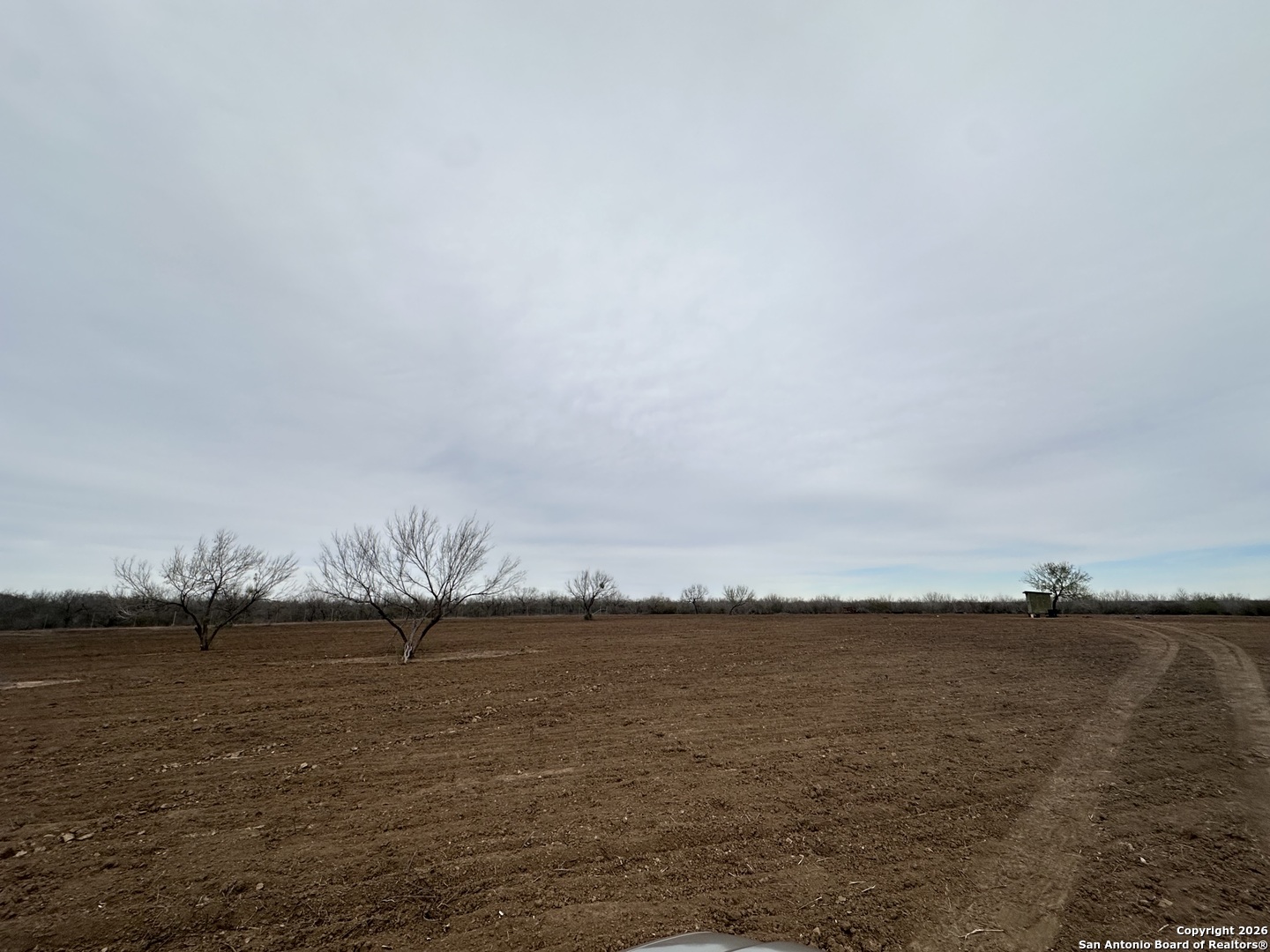 001 County Road 354 Charlotte TX 78011