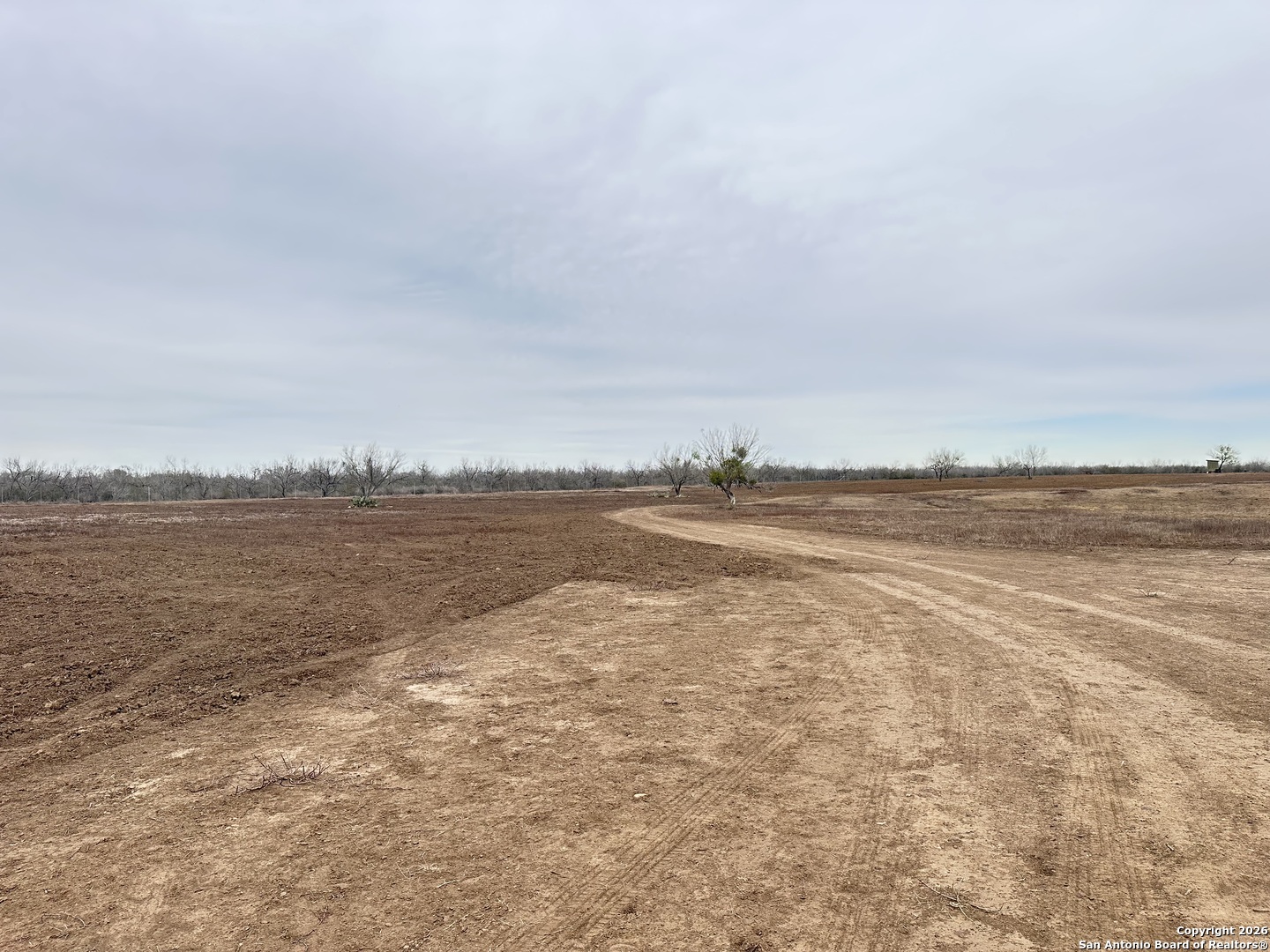 001 County Road 354 Charlotte TX 78011