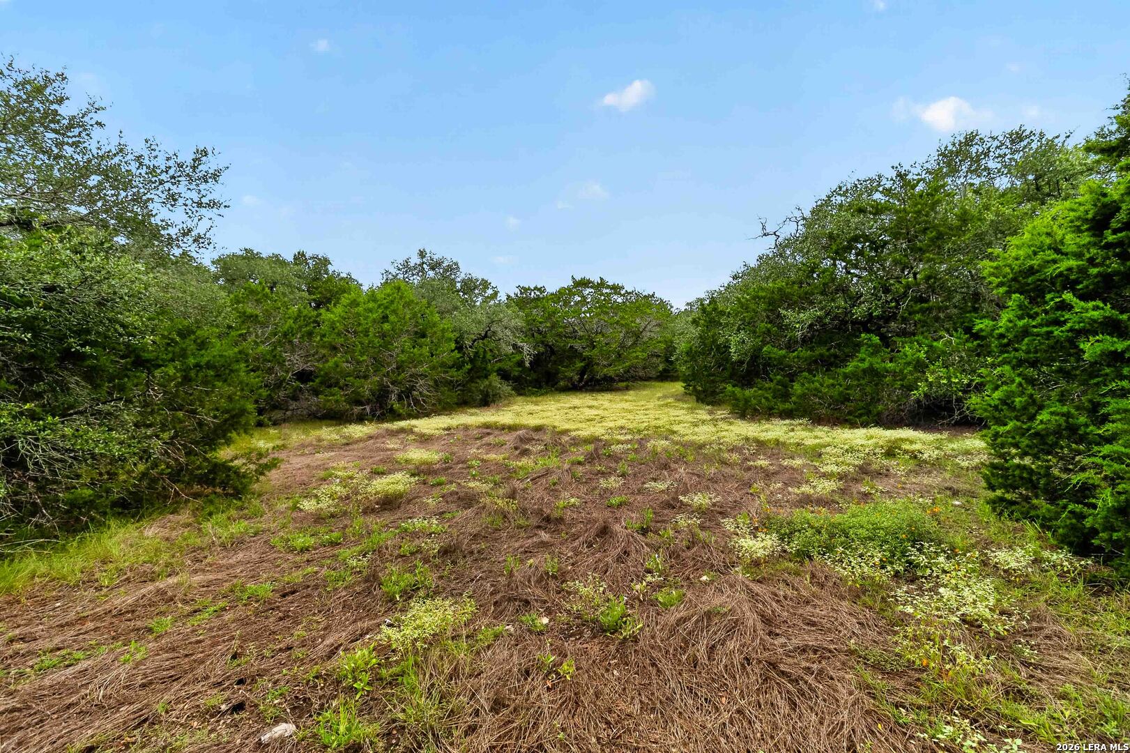34893 Thanksgiving Trail Bulverde TX 78163
