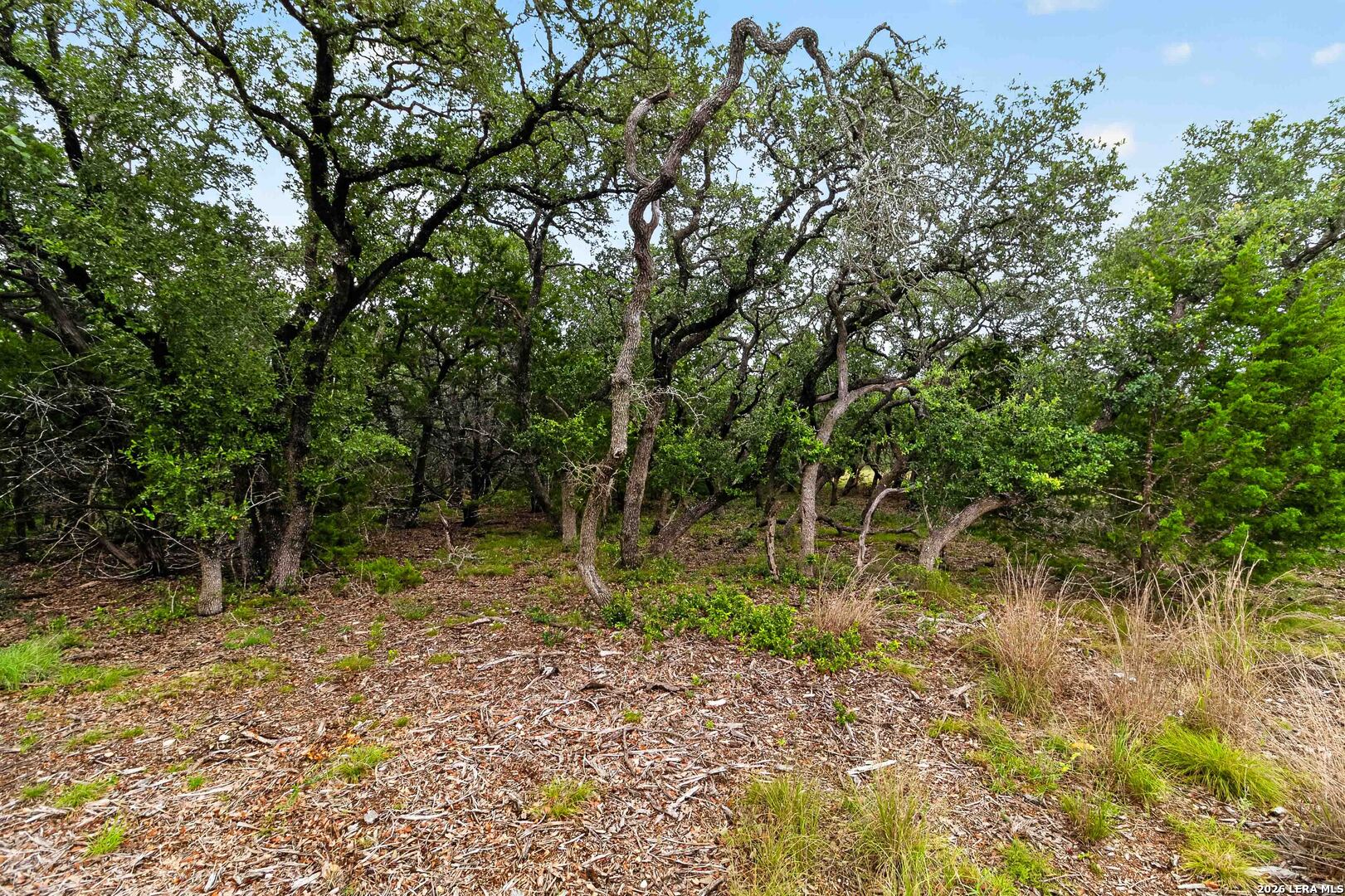 34893 Thanksgiving Trail Bulverde TX 78163