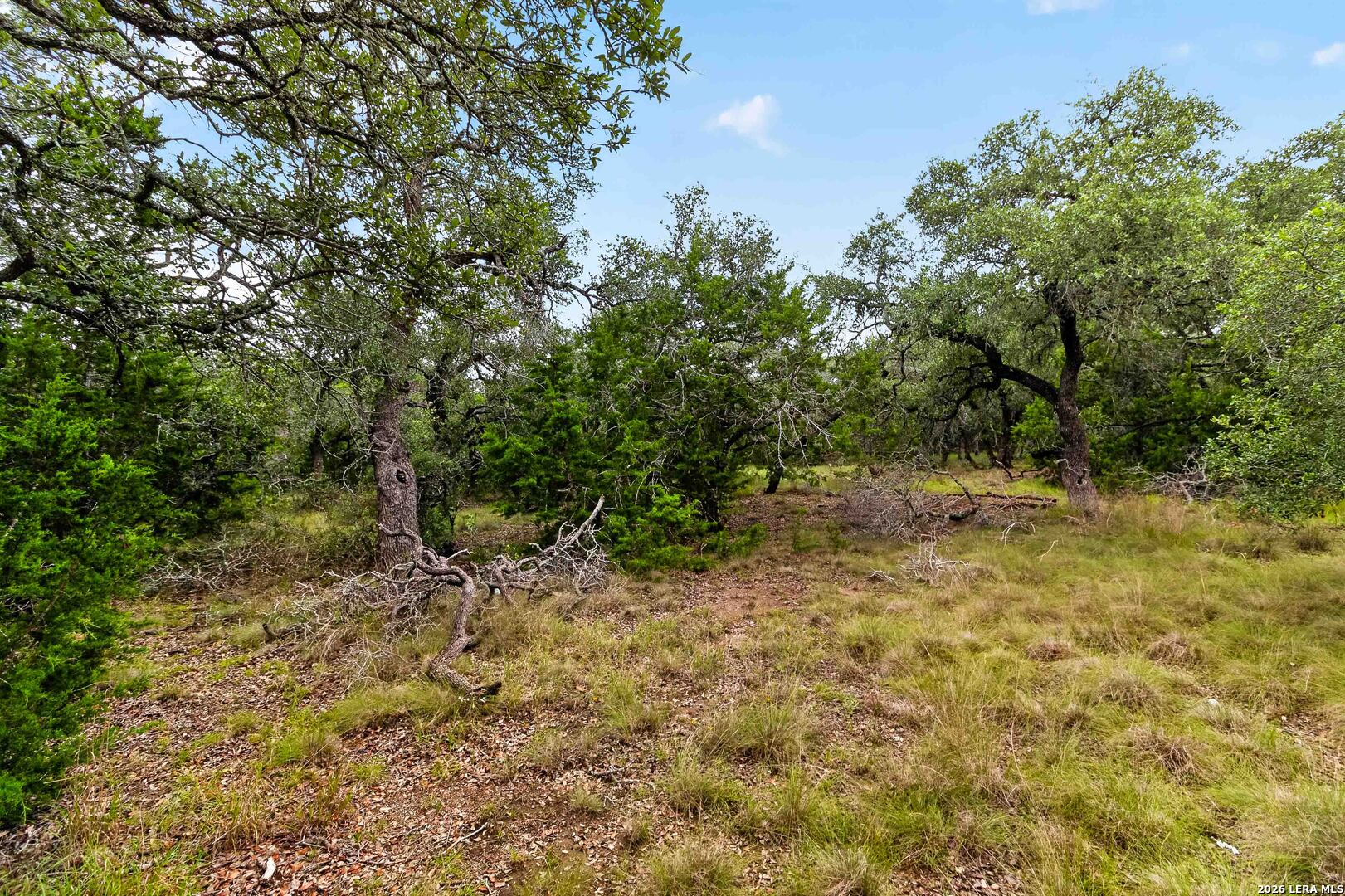 34893 Thanksgiving Trail Bulverde TX 78163