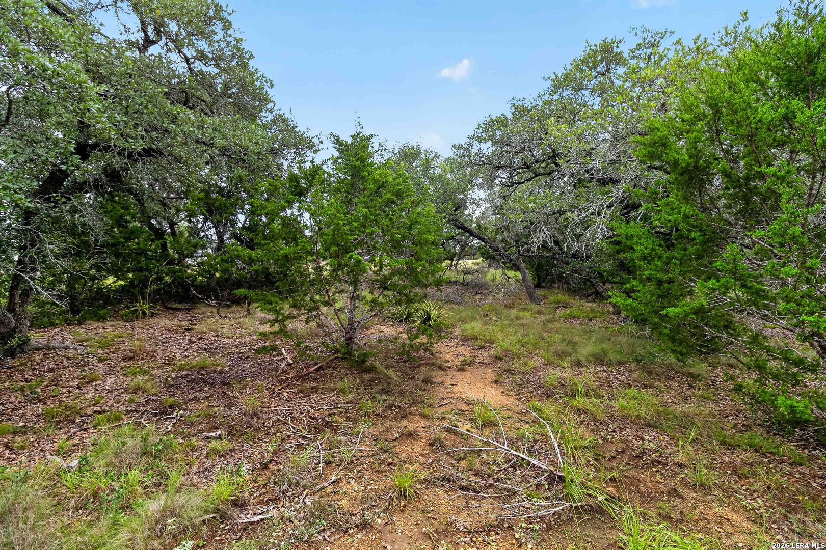 34893 Thanksgiving Trail Bulverde TX 78163