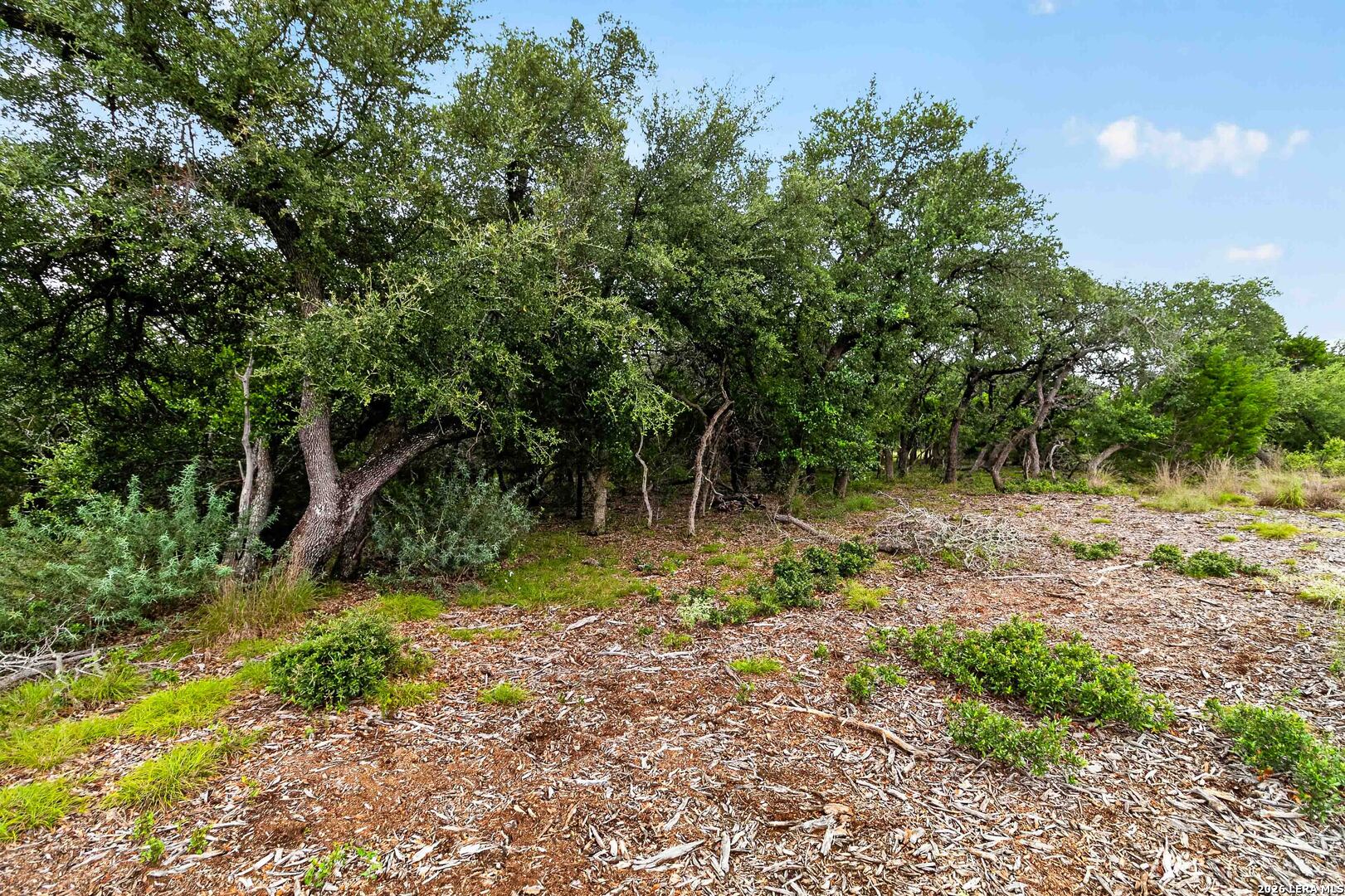 34893 Thanksgiving Trail Bulverde TX 78163
