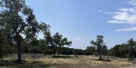 1733 Paradise Parkway Canyon TX 78133