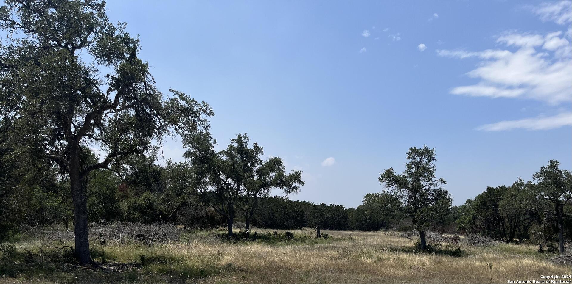 1733 Paradise Parkway Canyon TX 78133