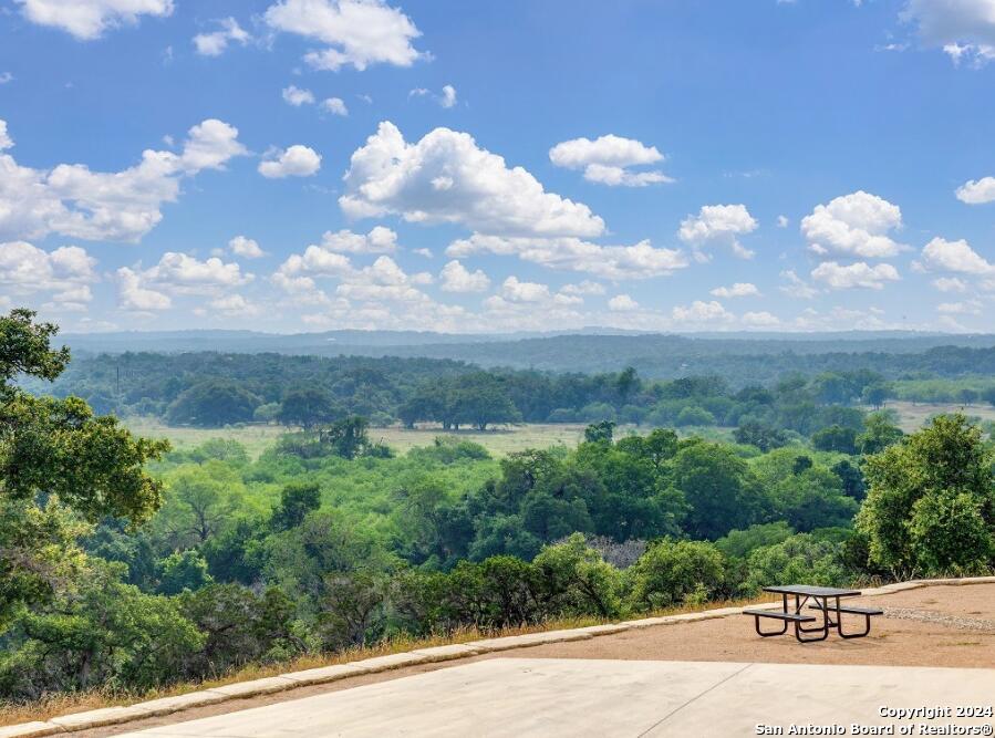 1733 Paradise Parkway Canyon TX 78133