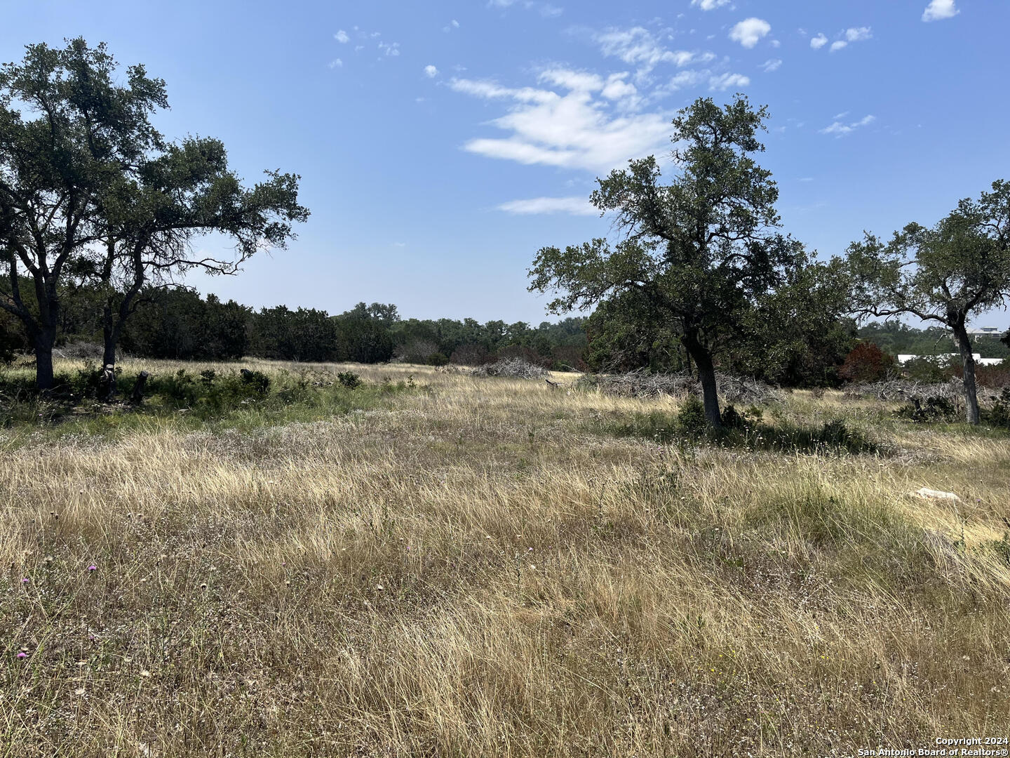 1733 Paradise Parkway Canyon TX 78133