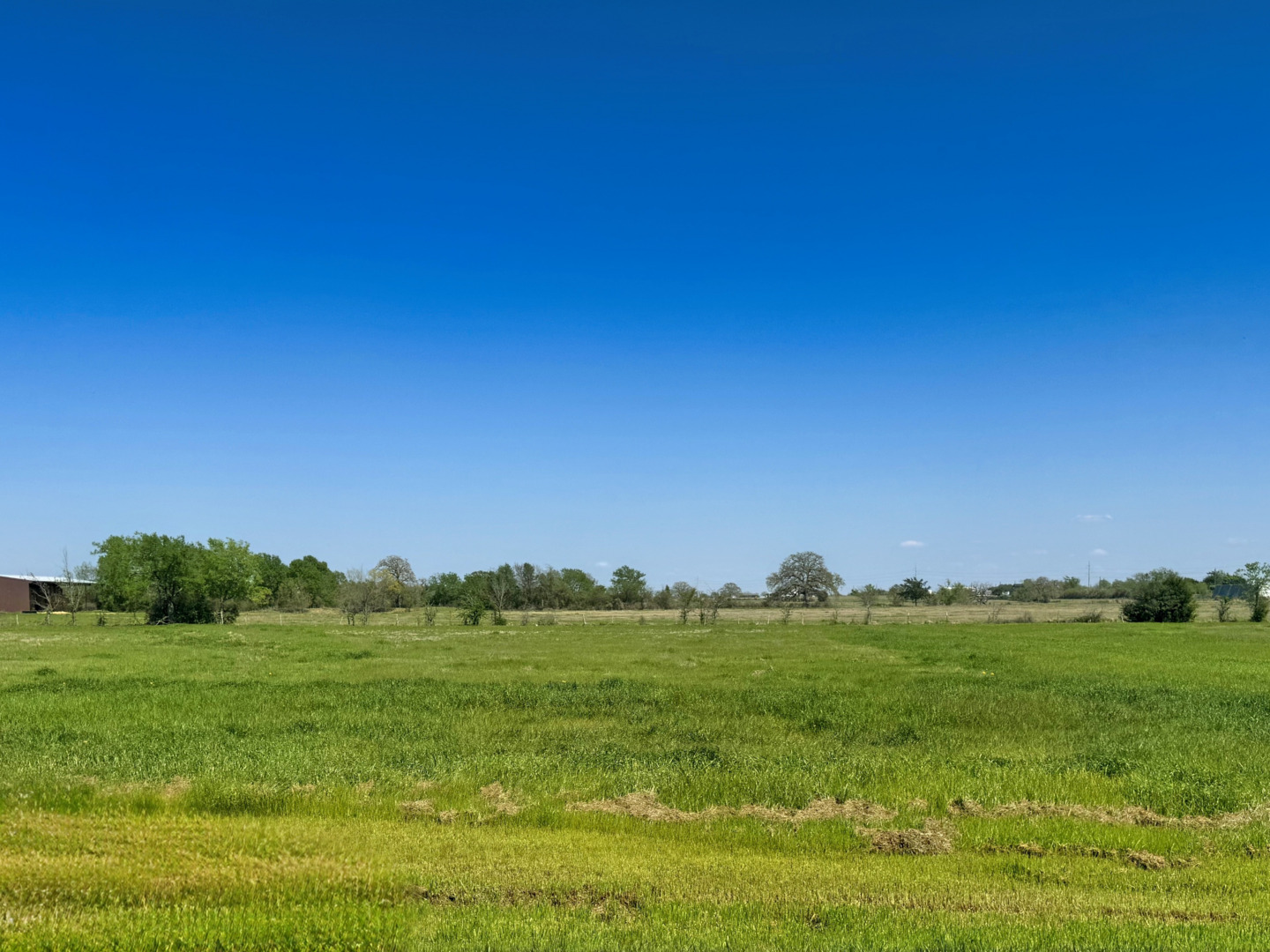 9966 Panther Creek Drive Iola TX 77861