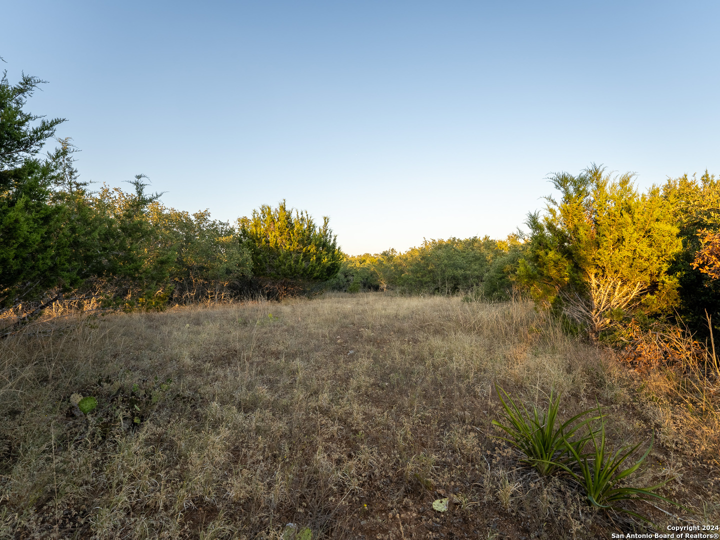 113 S John Bird Blanco TX 78606