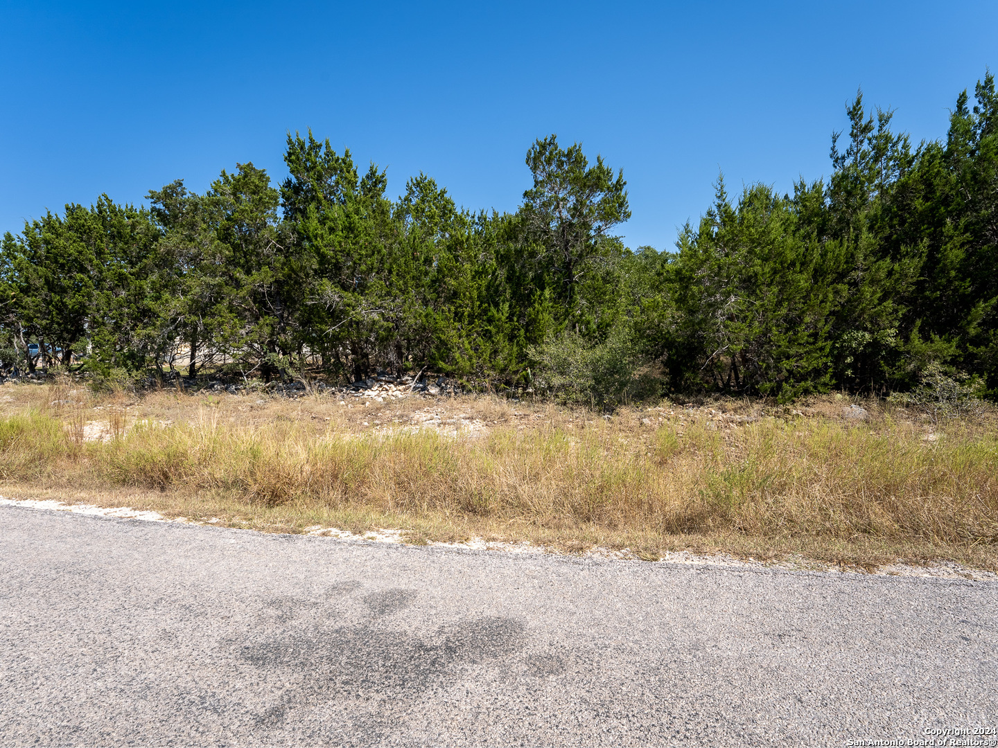 113 S John Bird Blanco TX 78606
