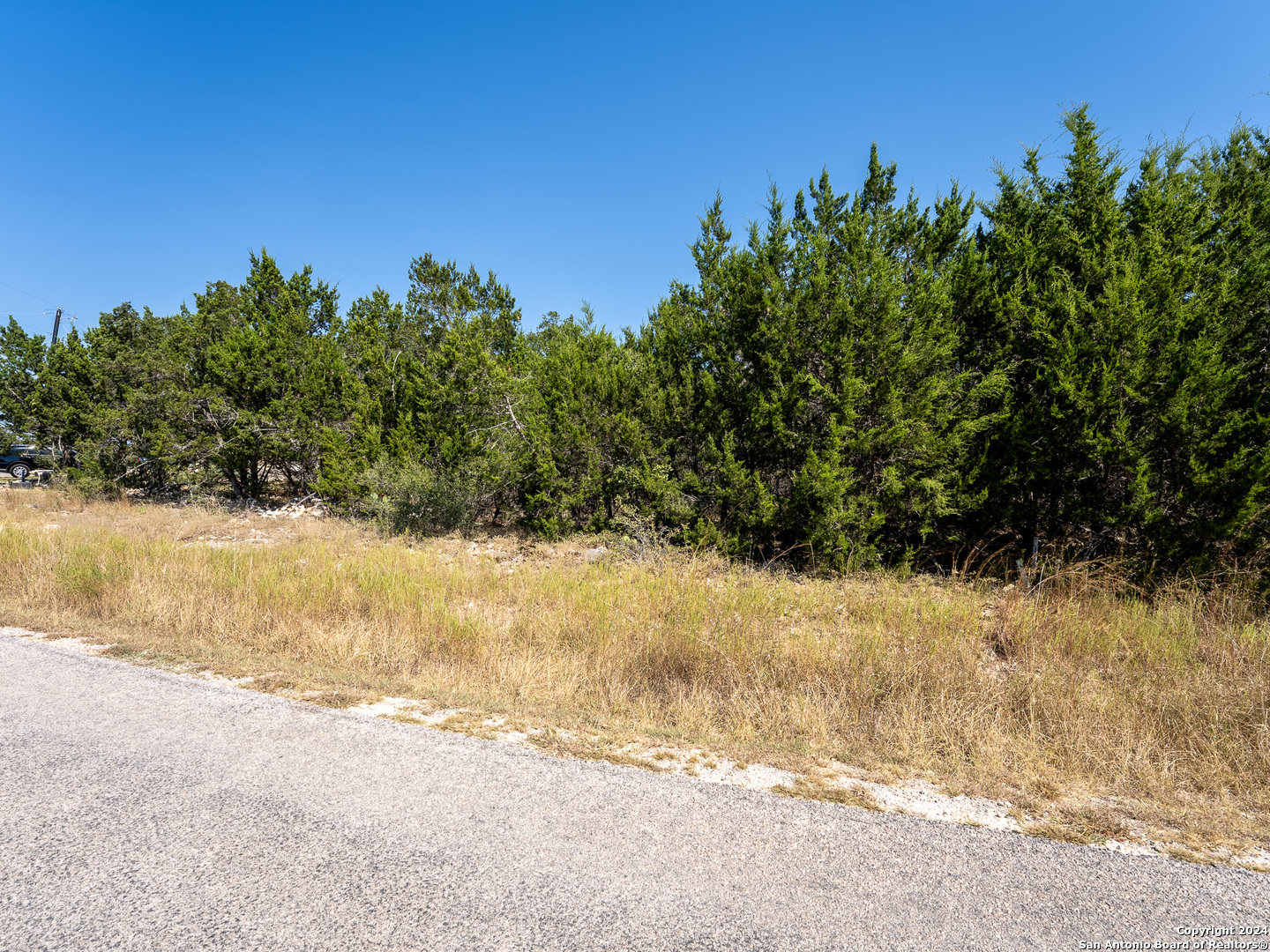 113 S John Bird Blanco TX 78606