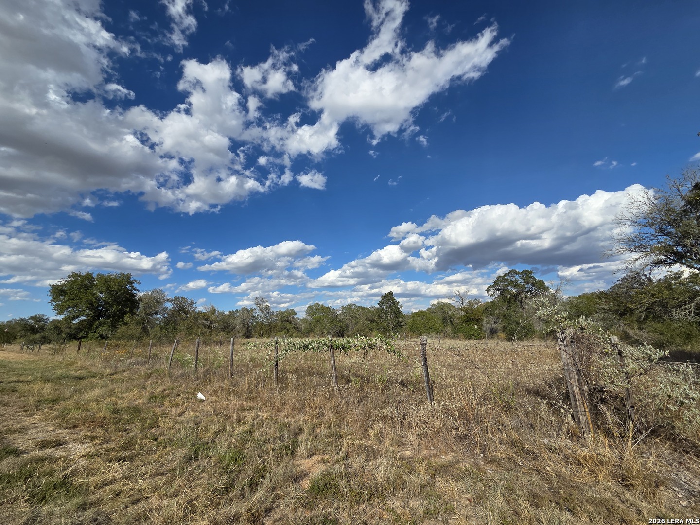 1830 Clear Lake Loop Poteet TX 78065