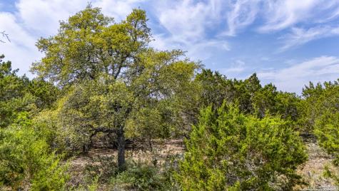 264 San Salvadore Canyon Lake TX 78133