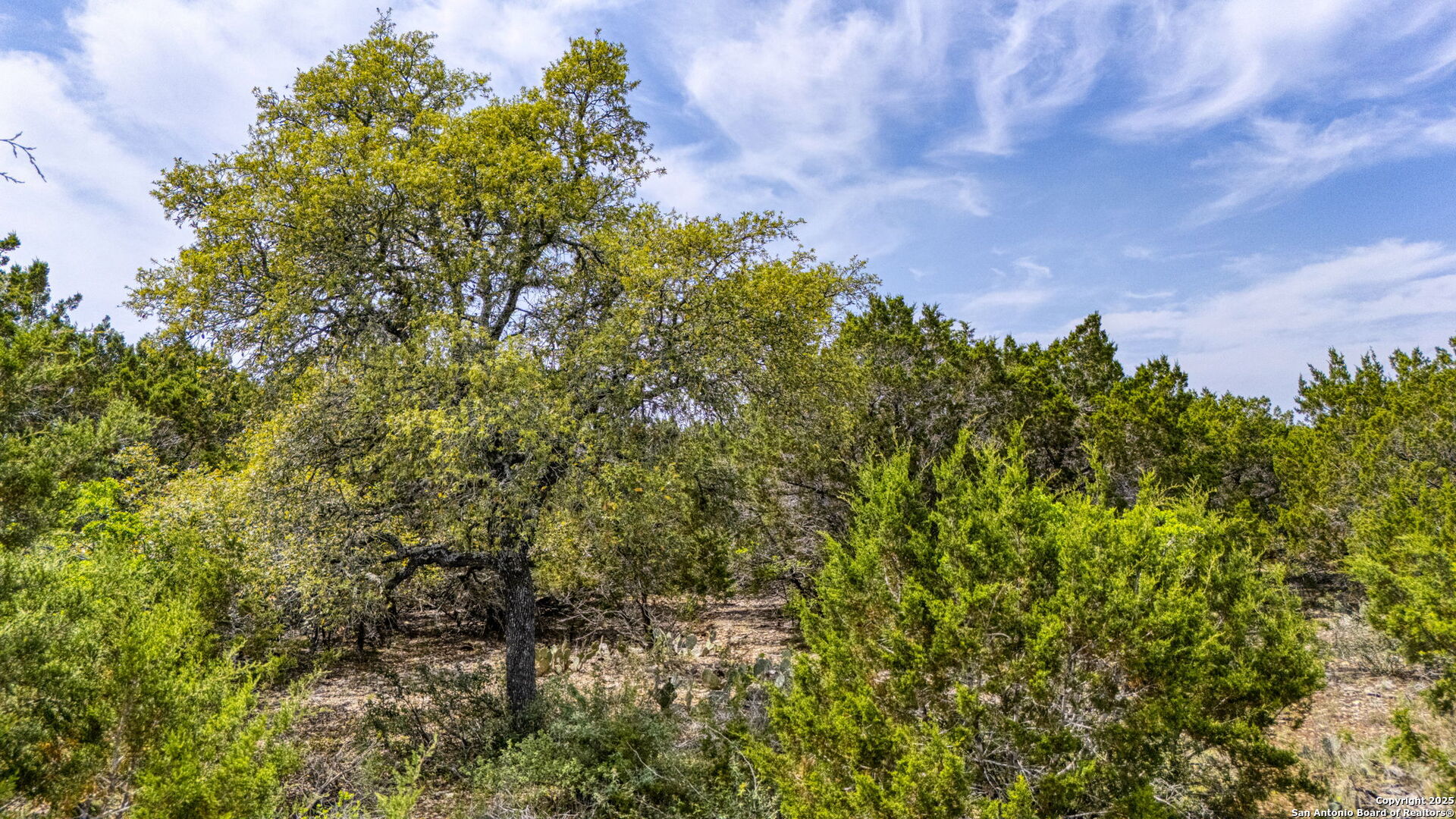 264 San Salvadore Canyon Lake TX 78133