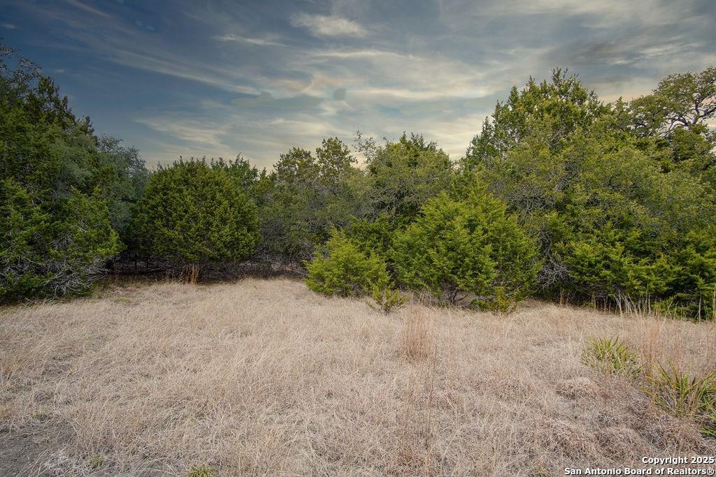 1055 Cielo Springs Drive Blanco TX 78606