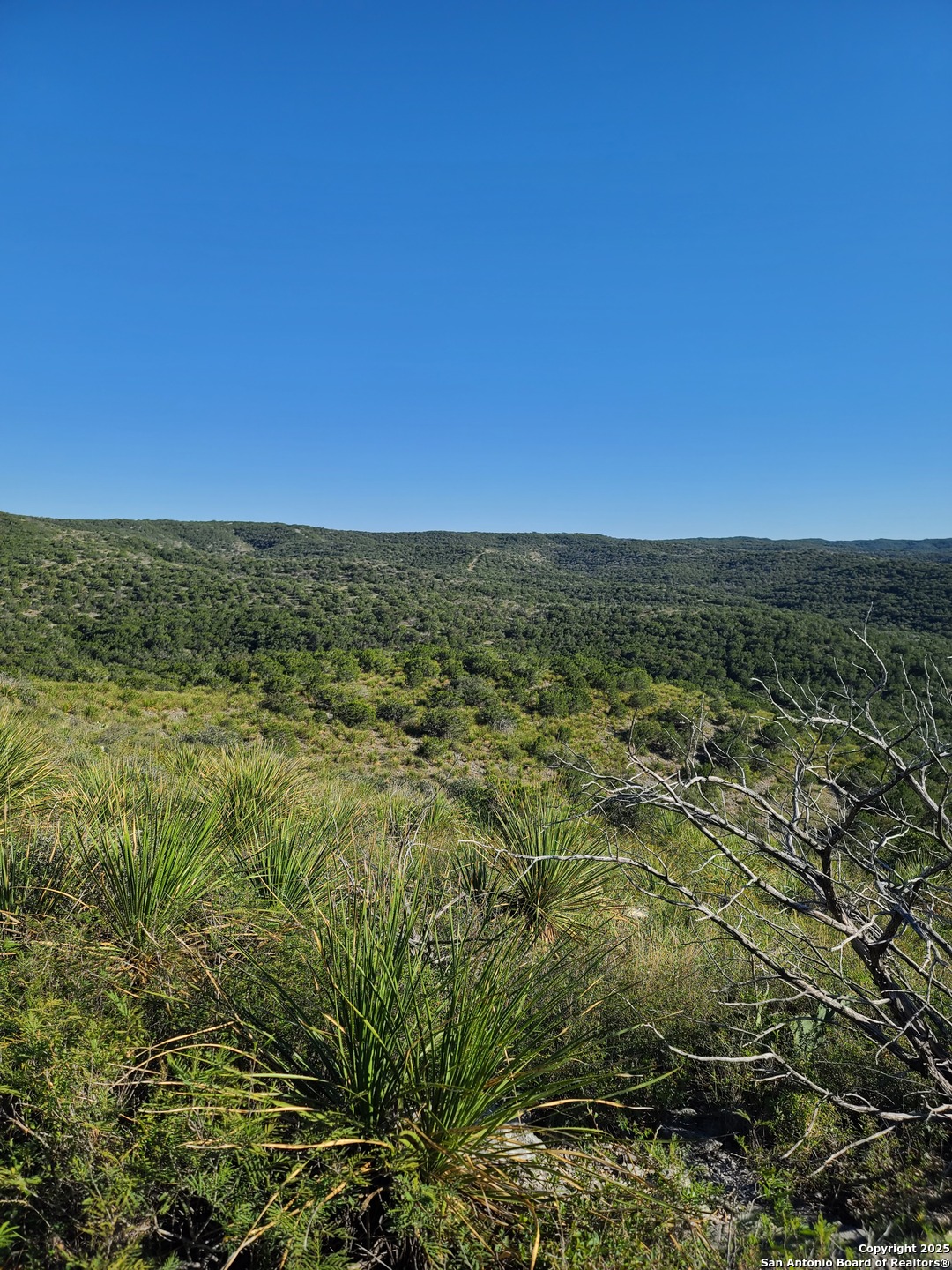 Tbd H55, C408 Uvalde TX 78801