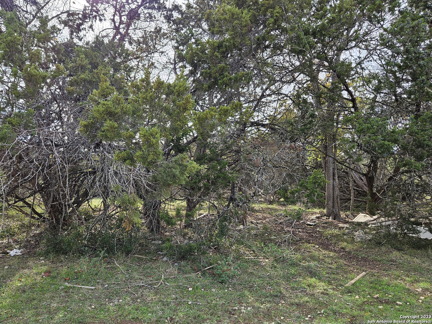 526 Spacious Sky San Antonio TX 78260