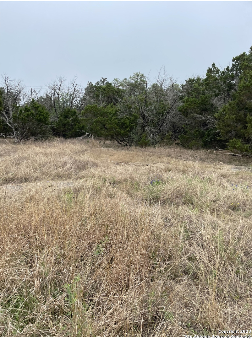 26914 Rocky Rim Garden Ridge TX 78266