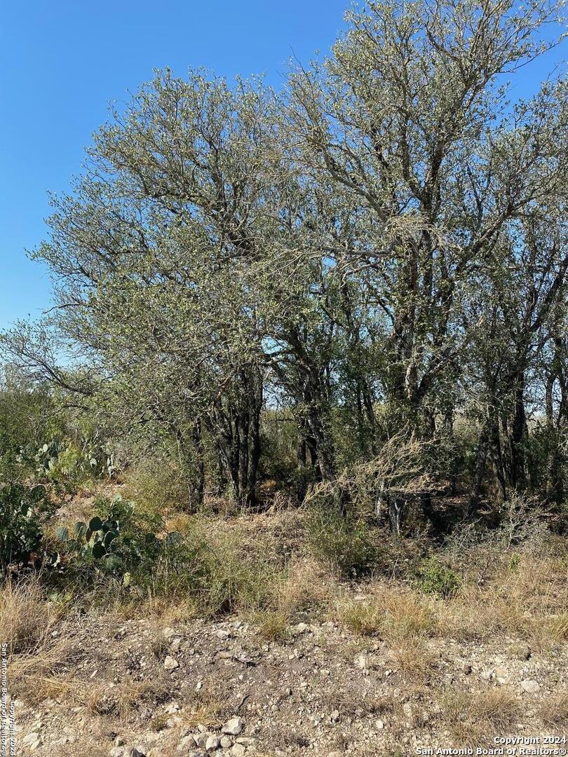 249 Legend Hills Road Uvalde TX 78801