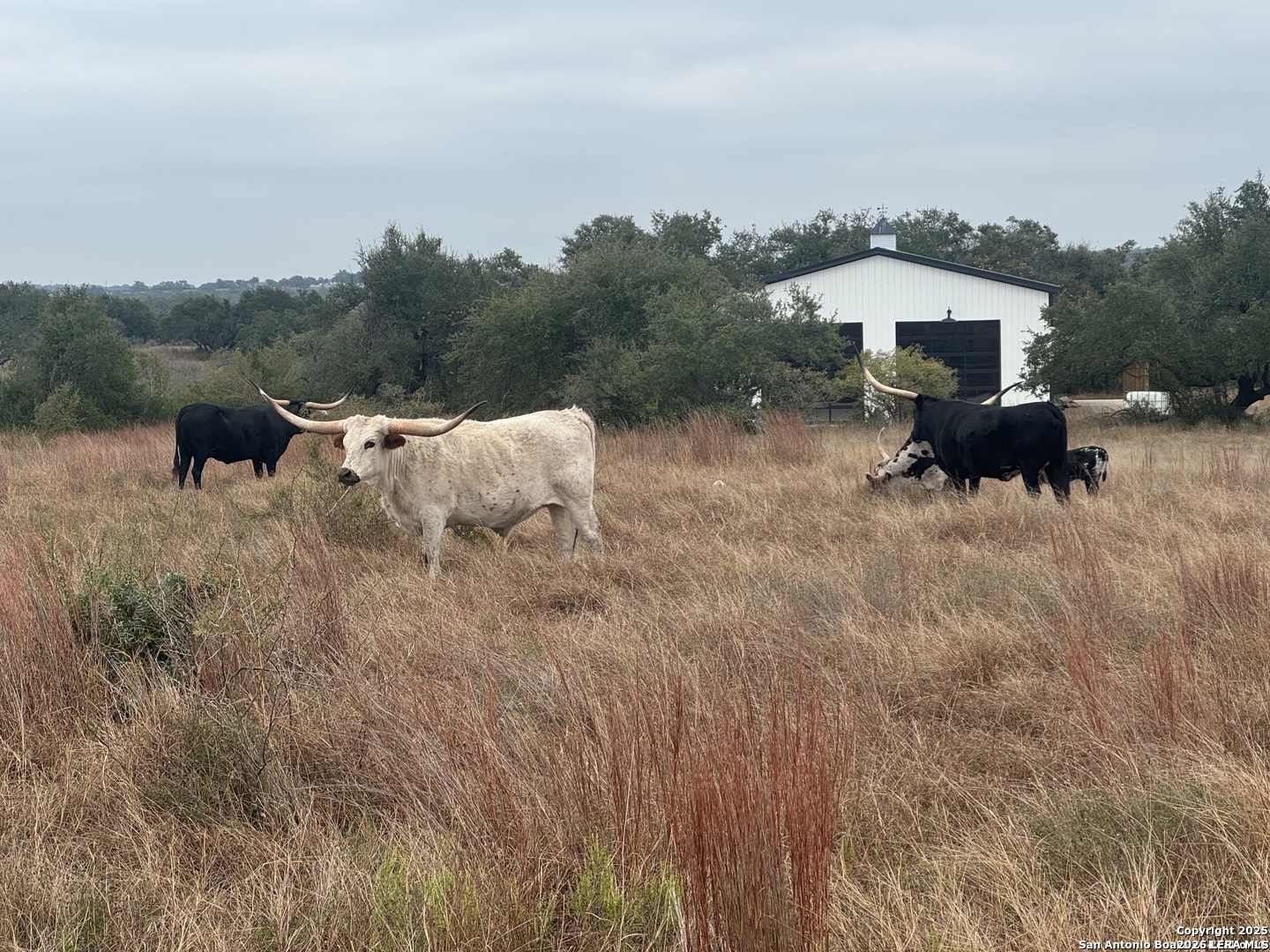 690 Windmill Ridge Blanco TX 78606