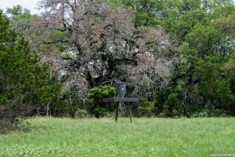 426 Mill Run New Braunfels TX 78132