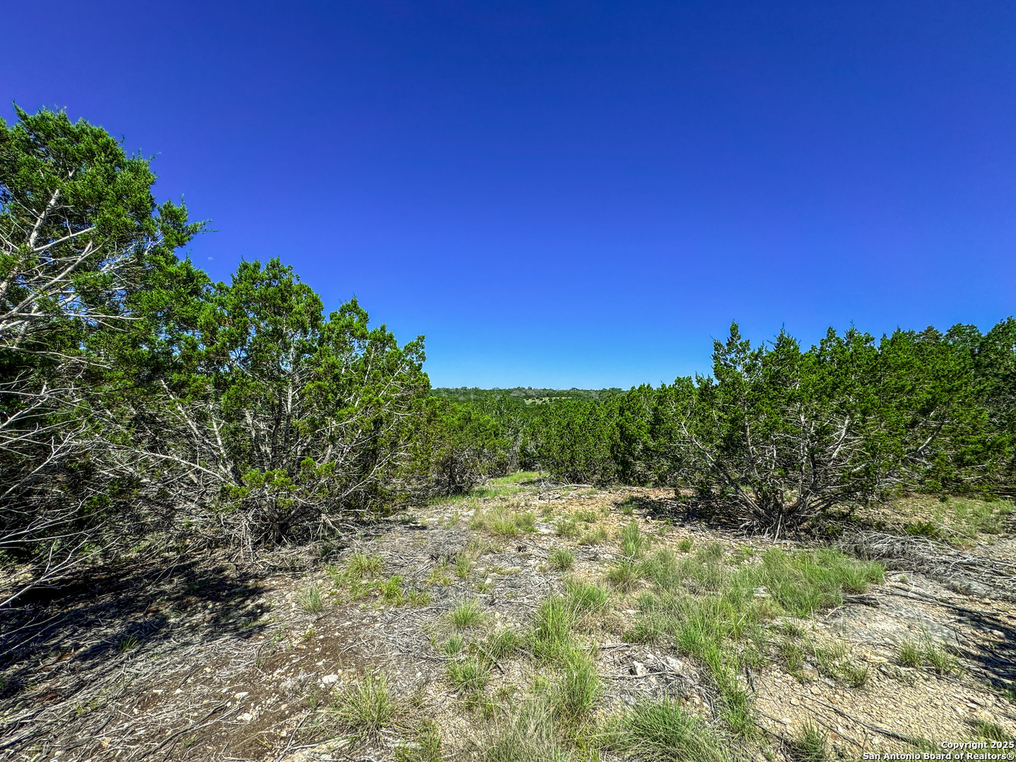 Lot 20 Loma Vista Ranch Kerrville TX 78028
