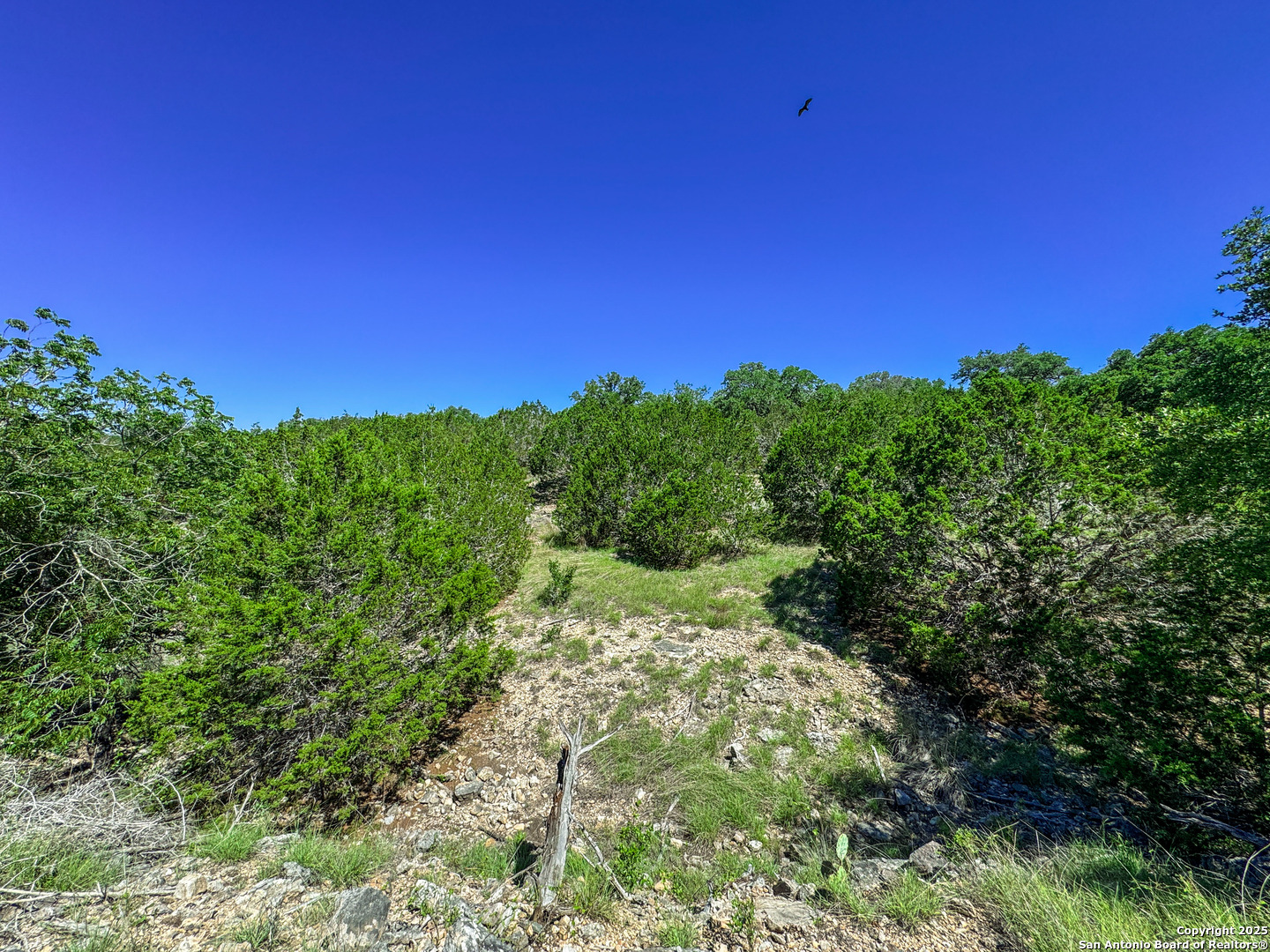 Lot 20 Loma Vista Ranch Kerrville TX 78028