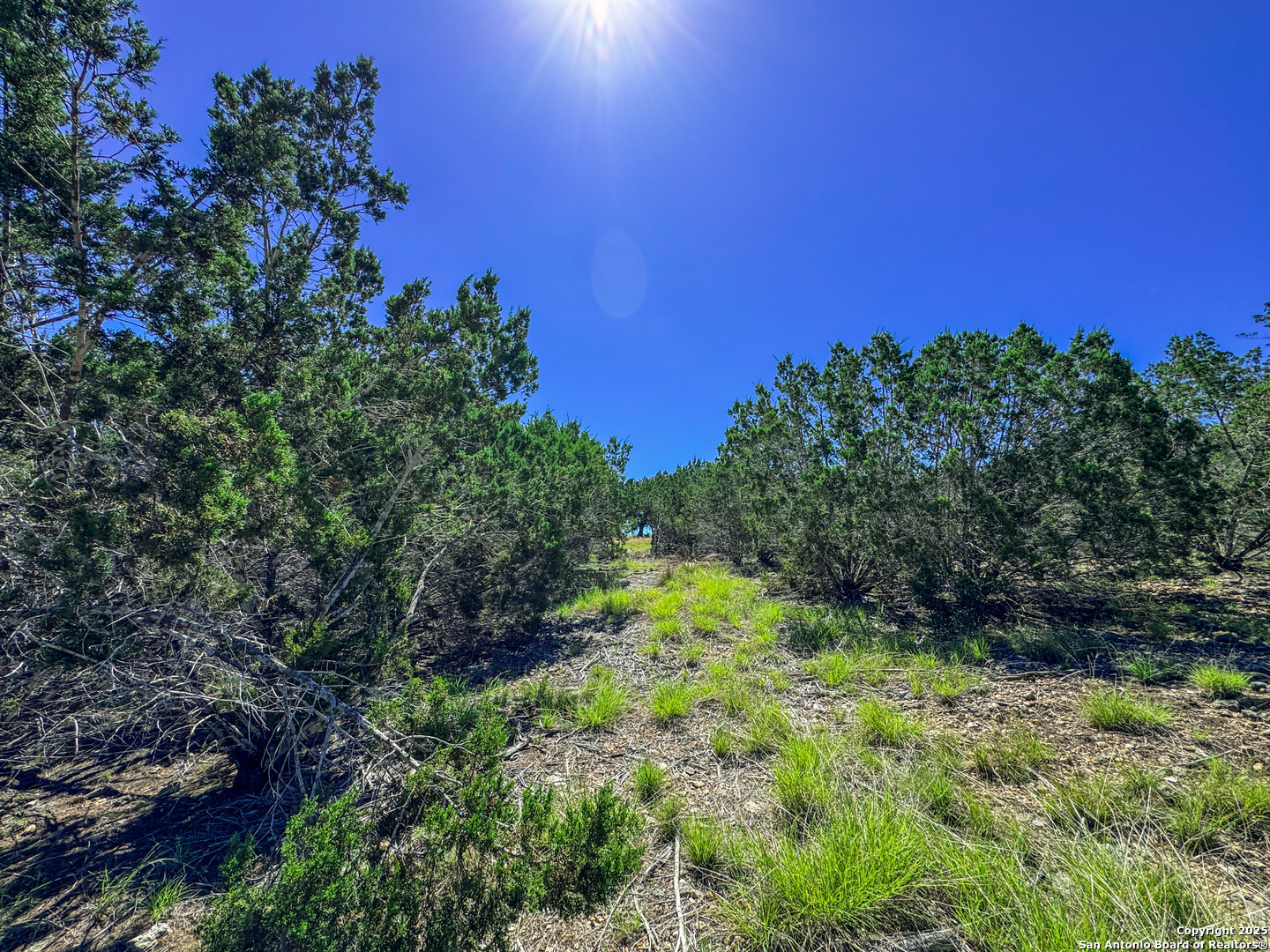 Lot 20 Loma Vista Ranch Kerrville TX 78028