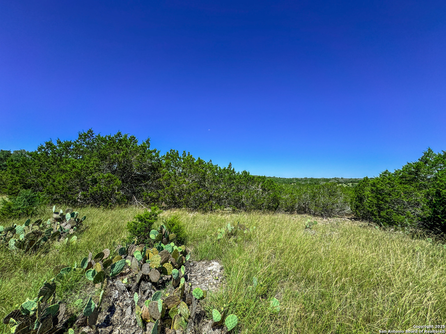 Lot 20 Loma Vista Ranch Kerrville TX 78028