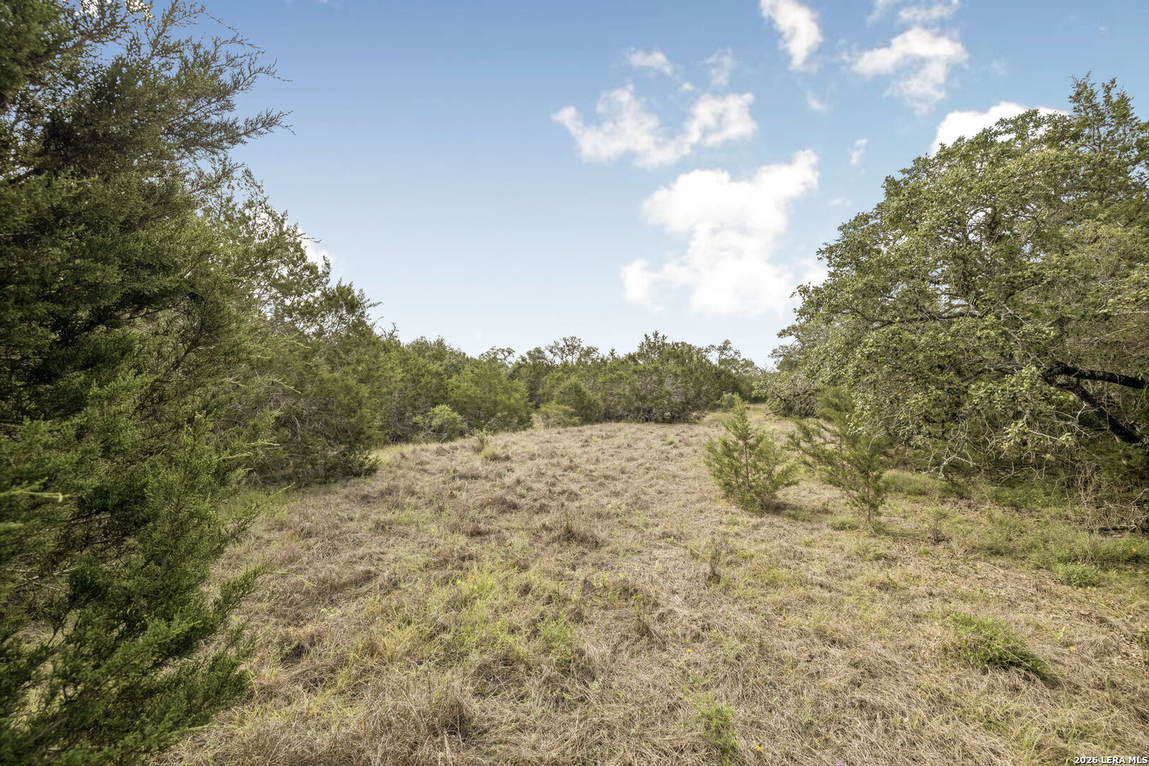 Tract 12 - 26 Seewald Boerne TX 78006