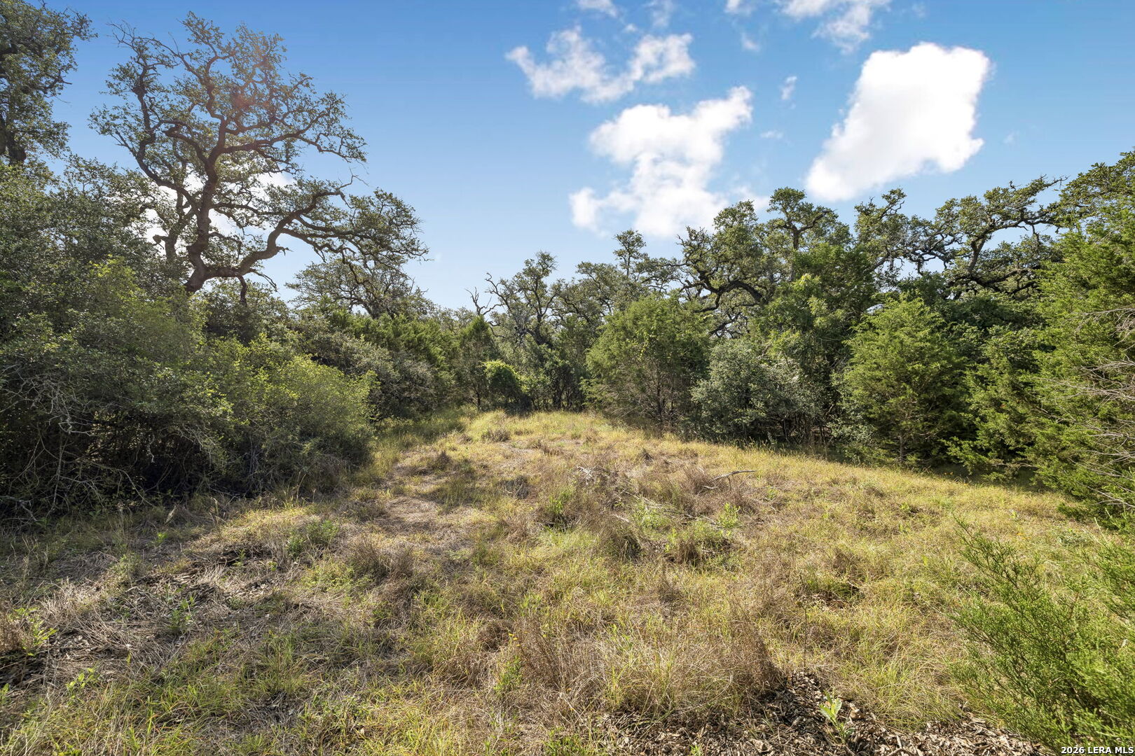 Tract 12 - 26 Seewald Boerne TX 78006