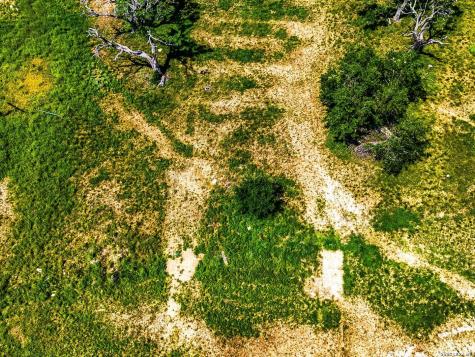 Lot 59 Tbd Eagle Bandera TX 78003