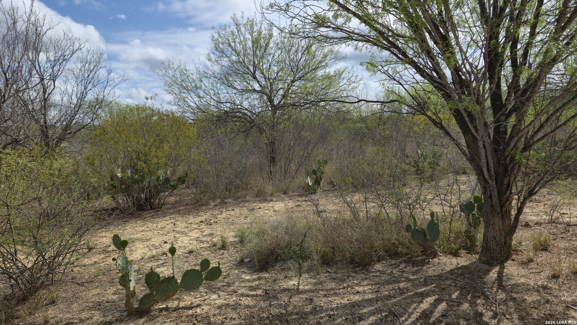 Tbd Talamantez Carrizo Springs TX 78834