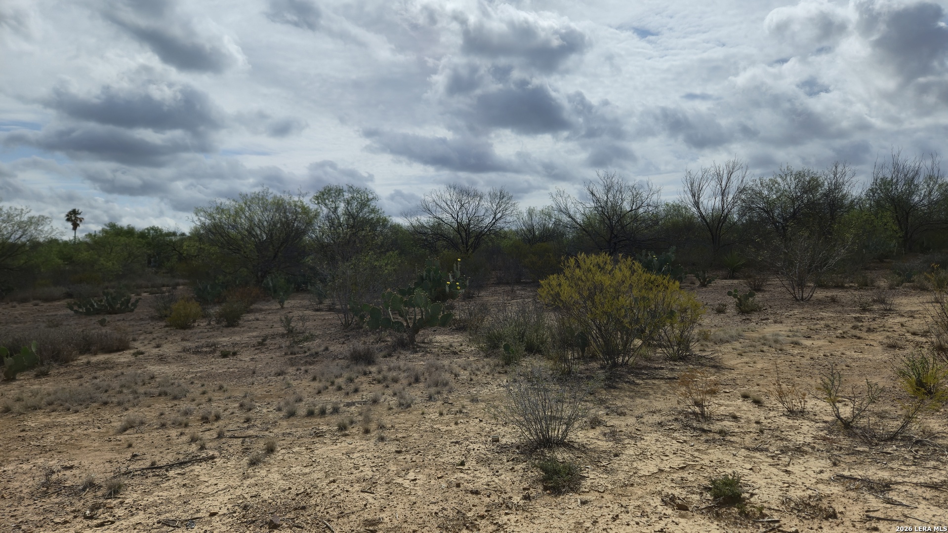 Tbd Talamantez Carrizo Springs TX 78834