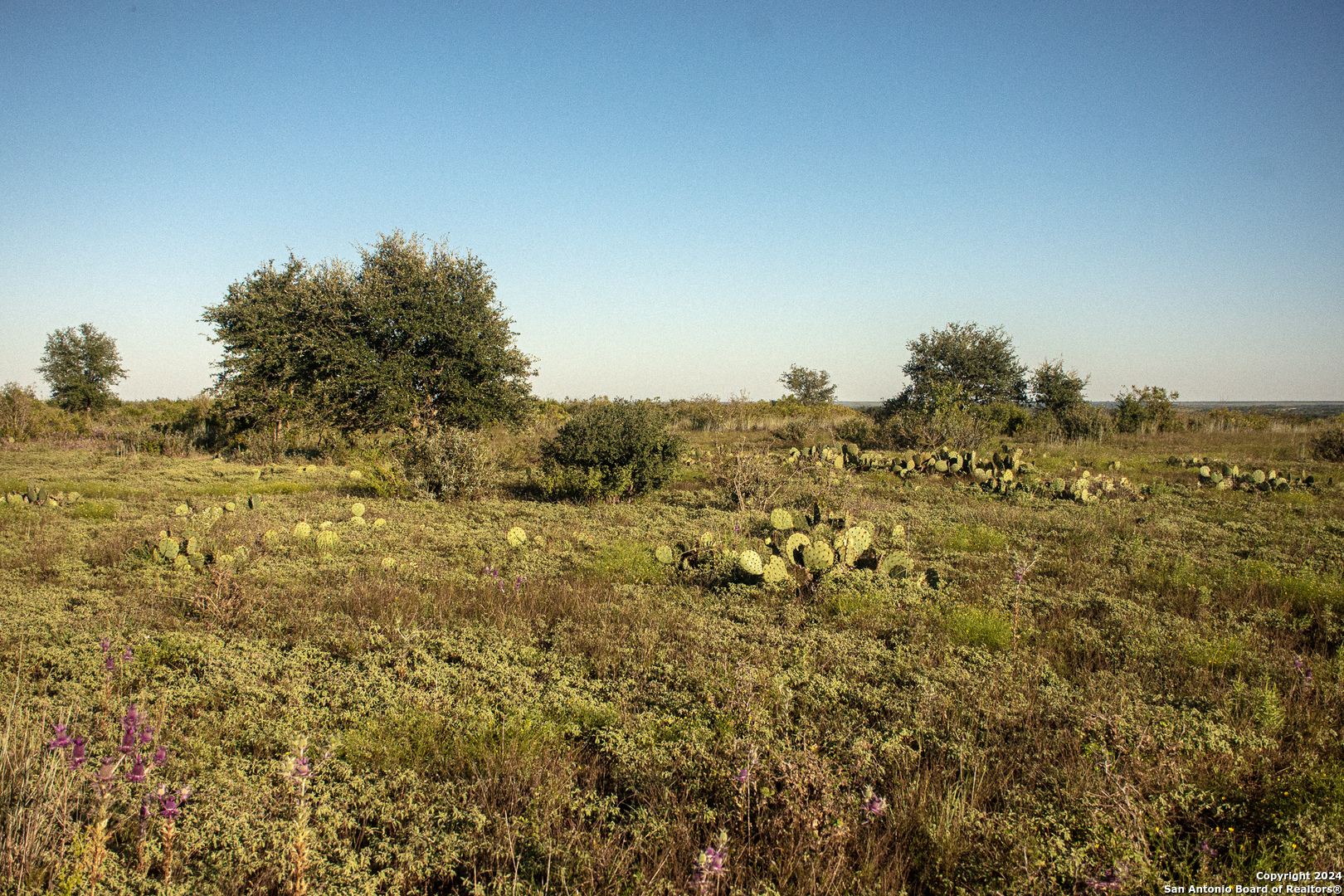 000 Cr 1255 Lampasas TX 76550