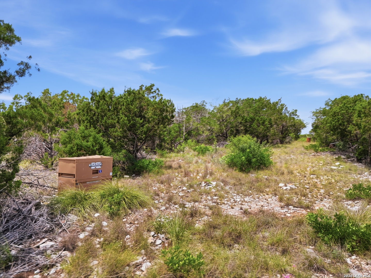 20 Winchester Leakey TX 78873
