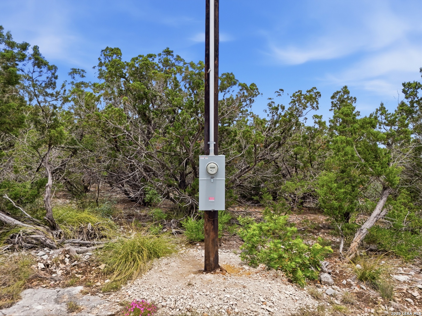 20 Winchester Leakey TX 78873