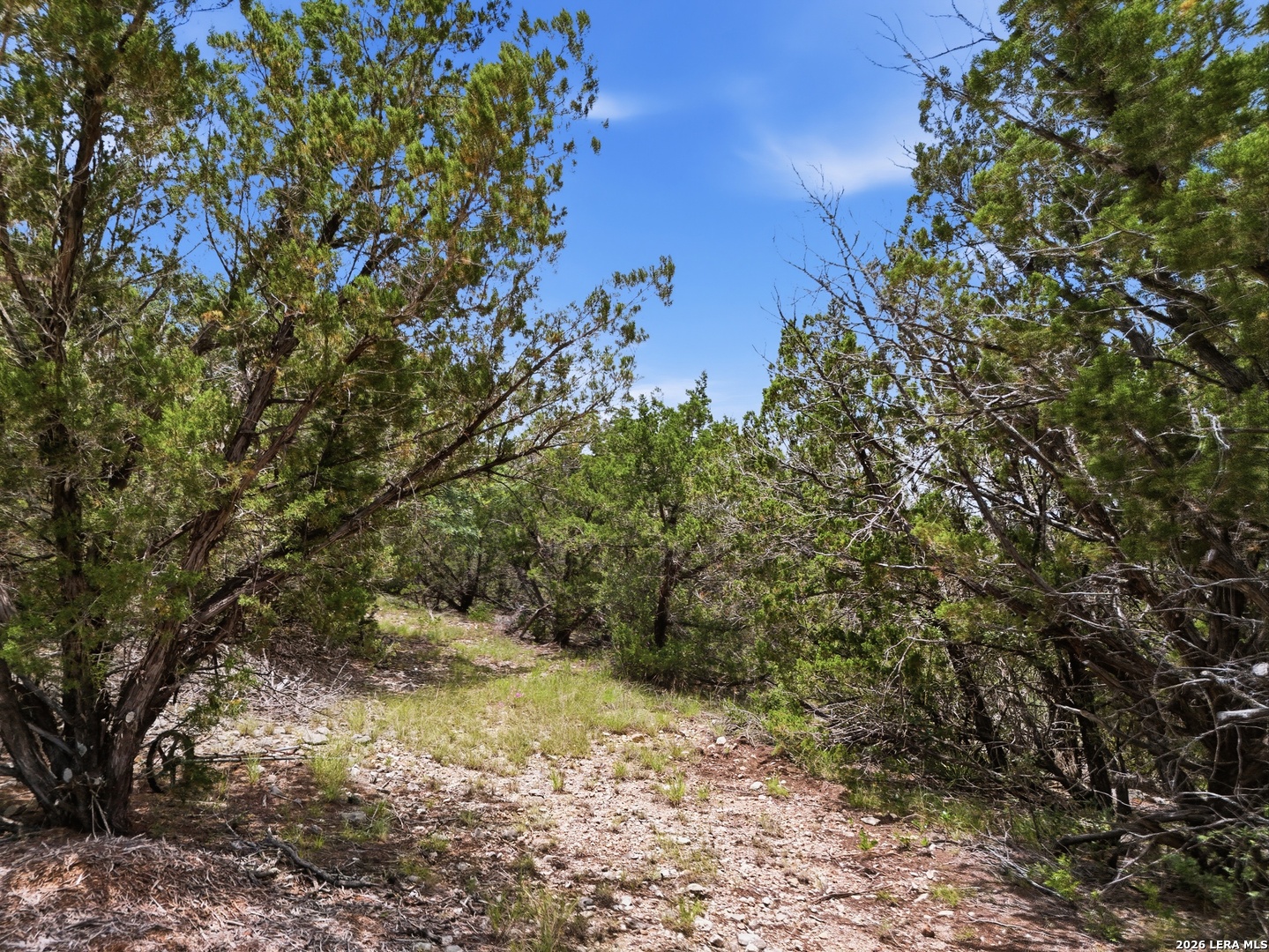 20 Winchester Leakey TX 78873