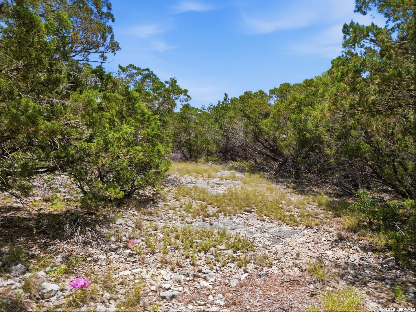 20 Winchester Leakey TX 78873