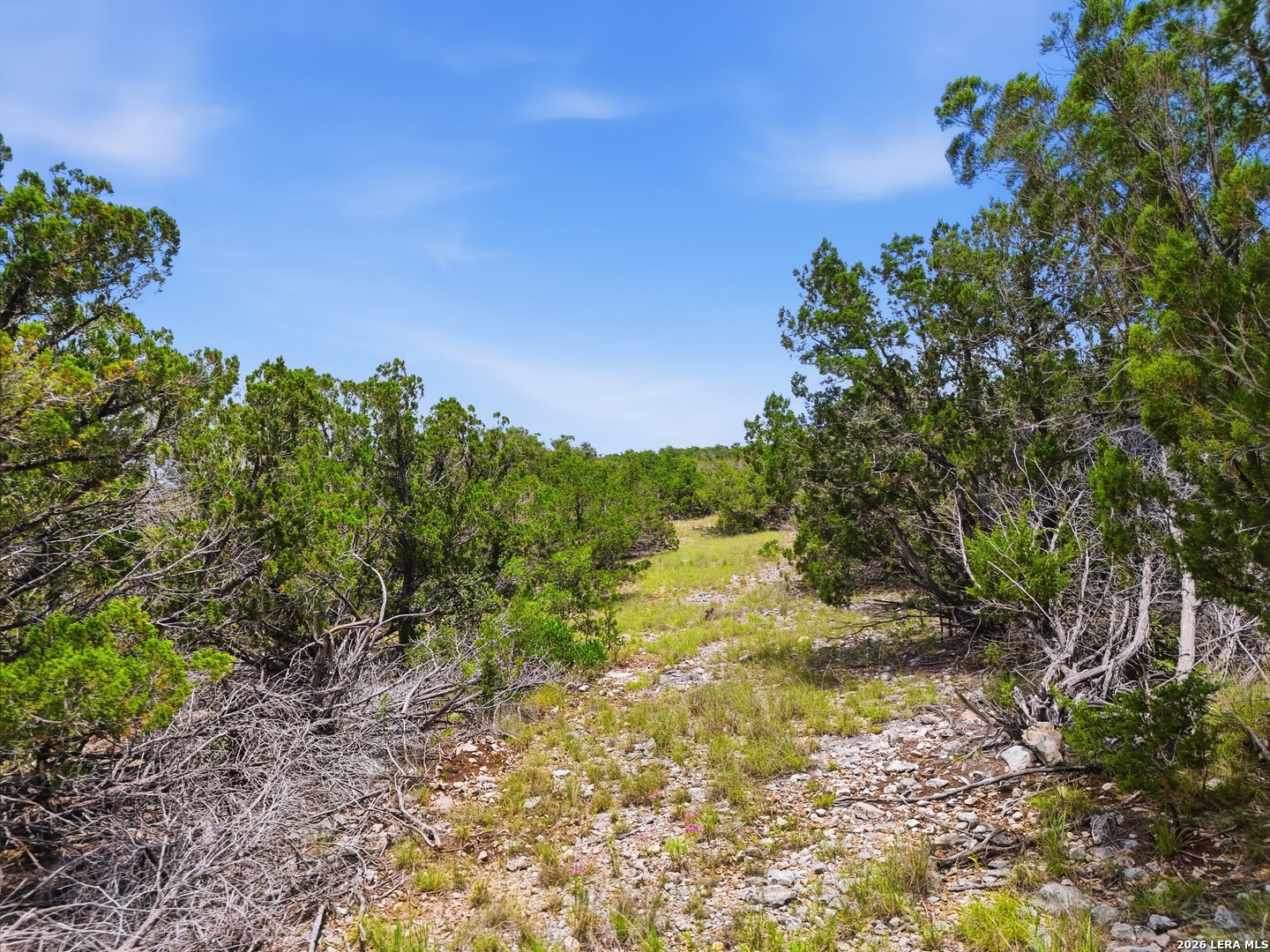20 Winchester Leakey TX 78873