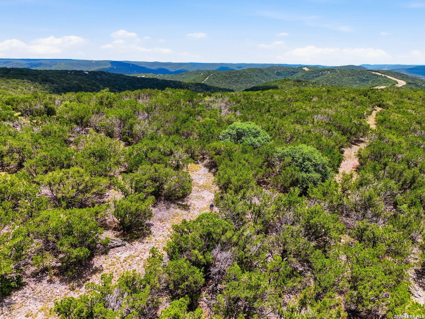 20 Winchester Leakey TX 78873