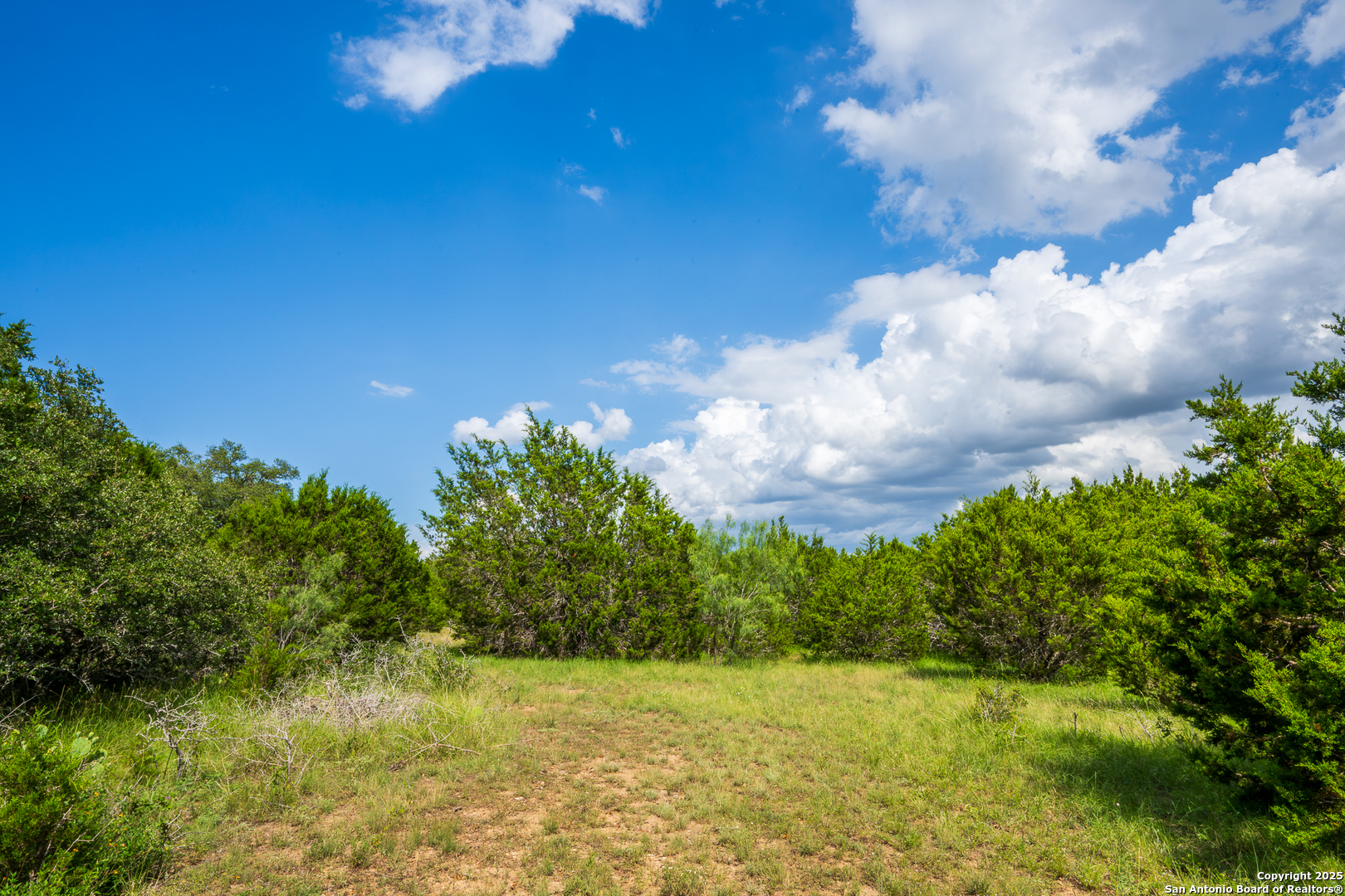 1421 Cr 281 Leander TX 78641