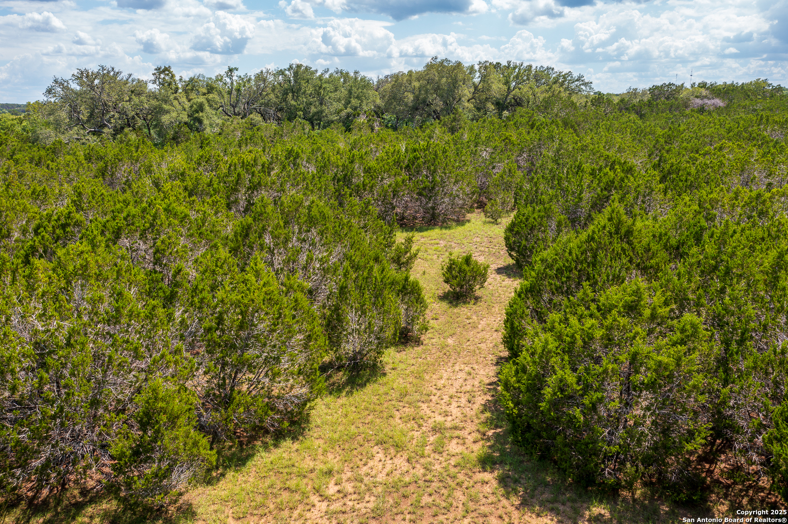 1421 Cr 281 Leander TX 78641