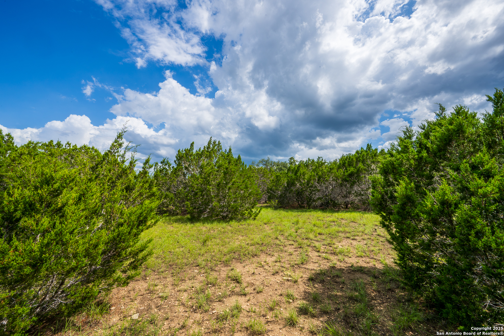 1421 Cr 281 Leander TX 78641