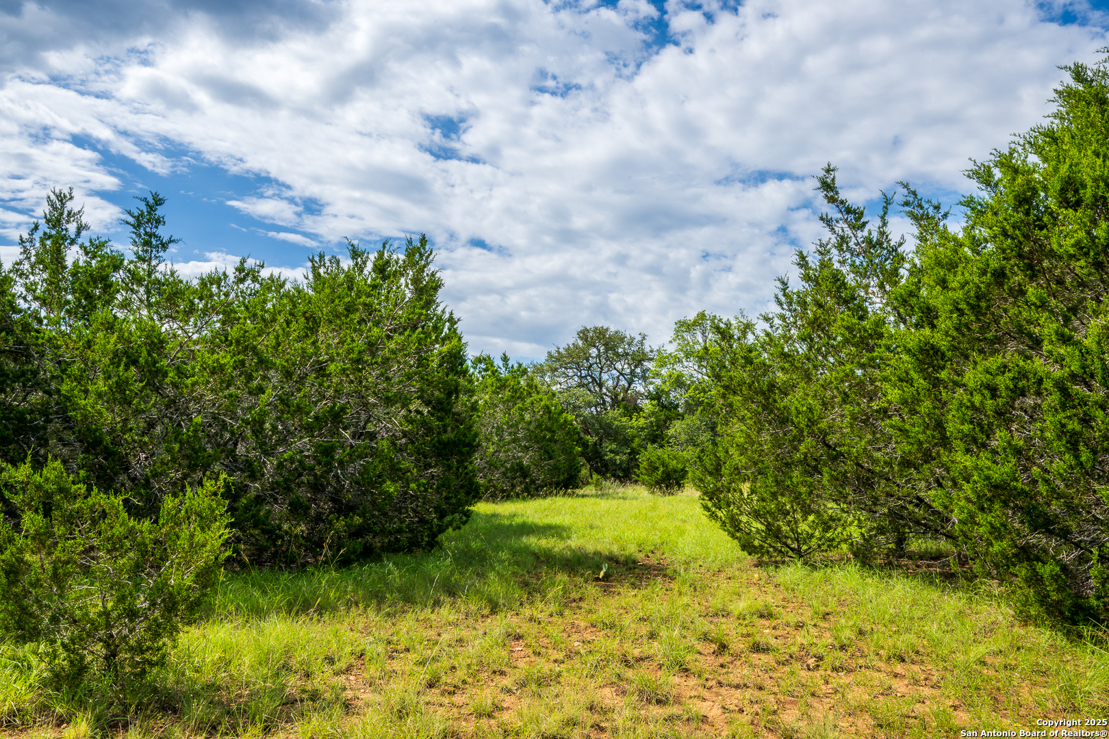 1421 Cr 281 Leander TX 78641