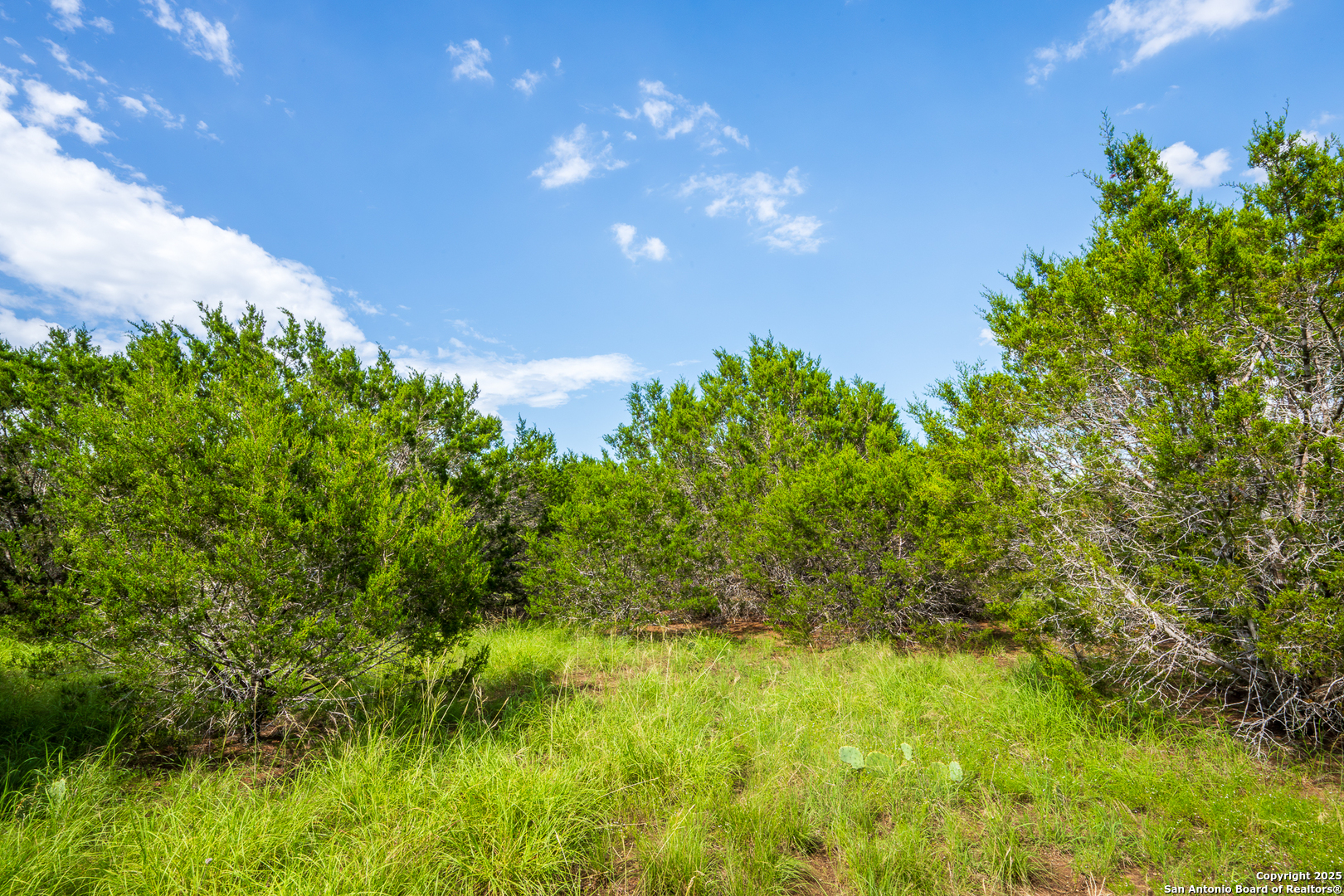 1421 Cr 281 Leander TX 78641