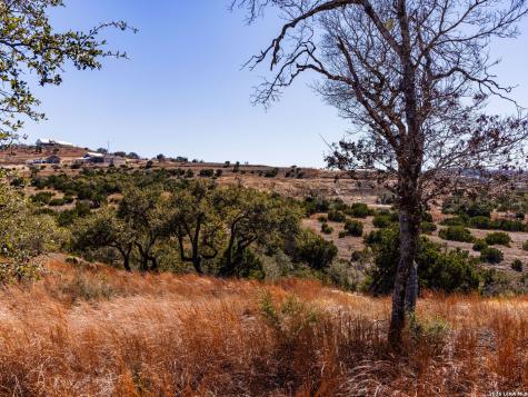 717 N Scenic Hills Court Blanco TX 78606