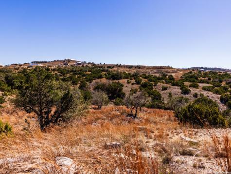 717 N Scenic Hills Court Blanco TX 78606